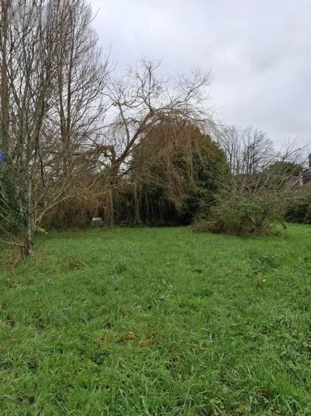 Image de terrain à Fouesnant