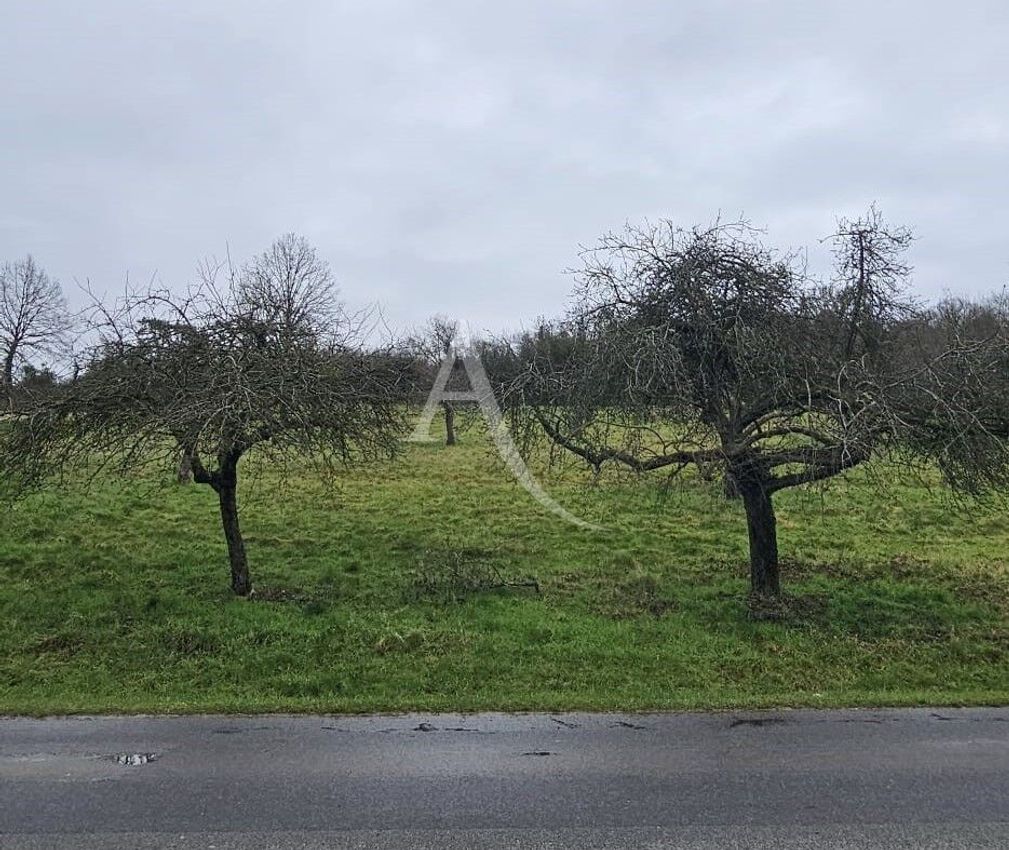 Image de terrain à Saint-Cyr-sur-Morin