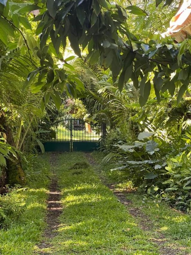 Image Jardin à  maison individuelle de Sainte-Rose