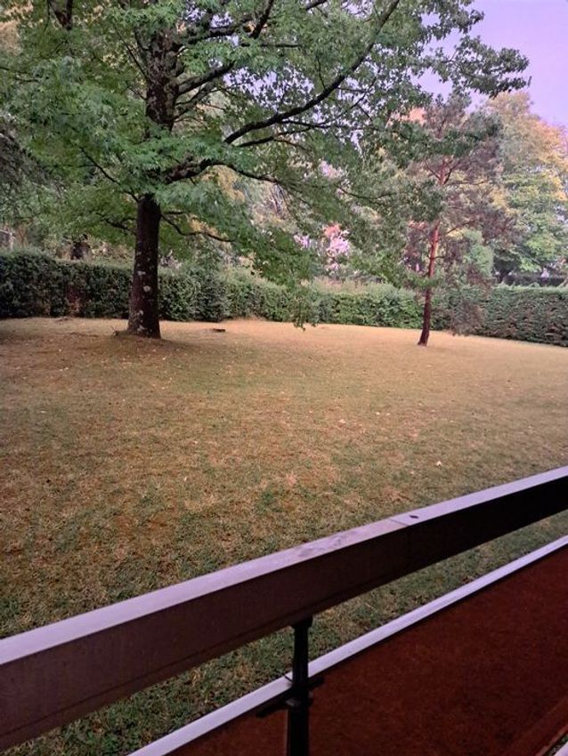 Image Jardin à studio de Saint-Jean-de-Luz