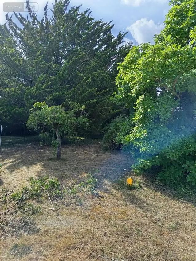 Image de terrain à La Croix-en-Touraine