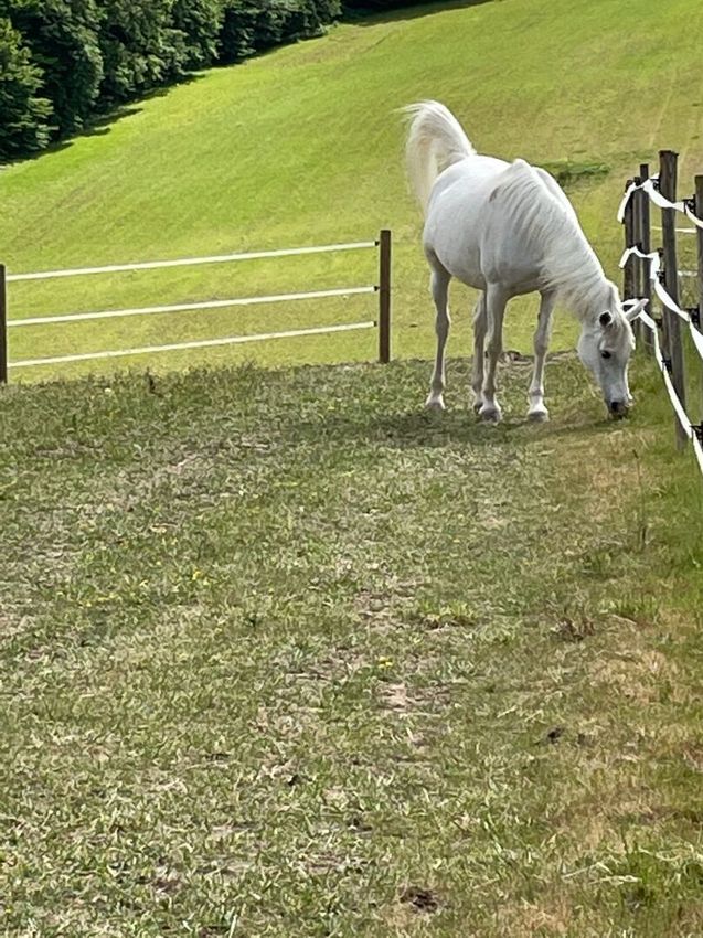 Image de  propriété agricole à Montastruc