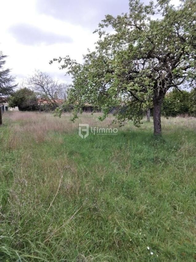 Image de terrain à L'Isle-d'Espagnac