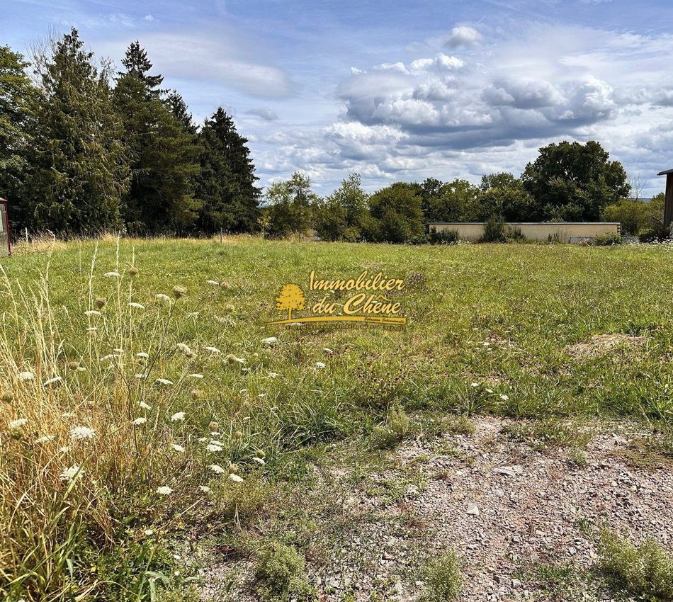 Image de terrain à Abelcourt