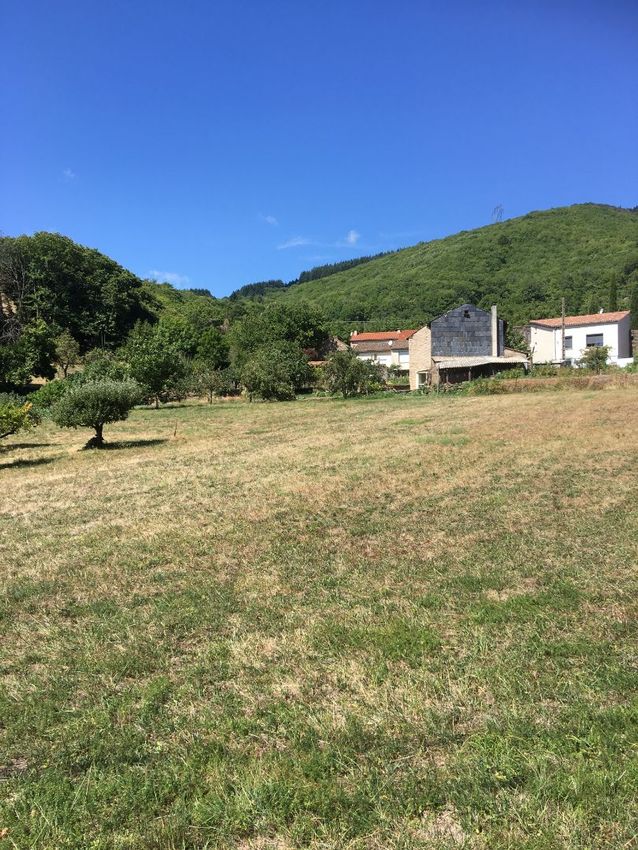 Image de terrain à Courniou