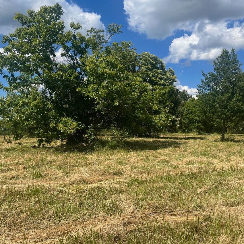 Image de terrain à Montpon-Ménestérol
