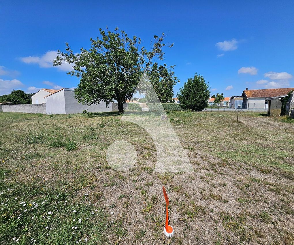 Image de terrain à Les Mathes