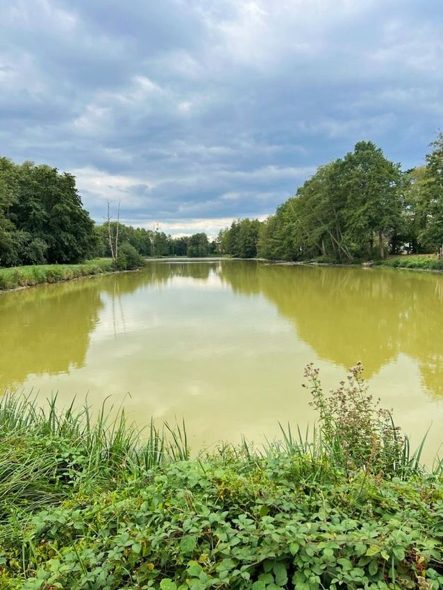 Image Vue à terrain de Sully-sur-Loire