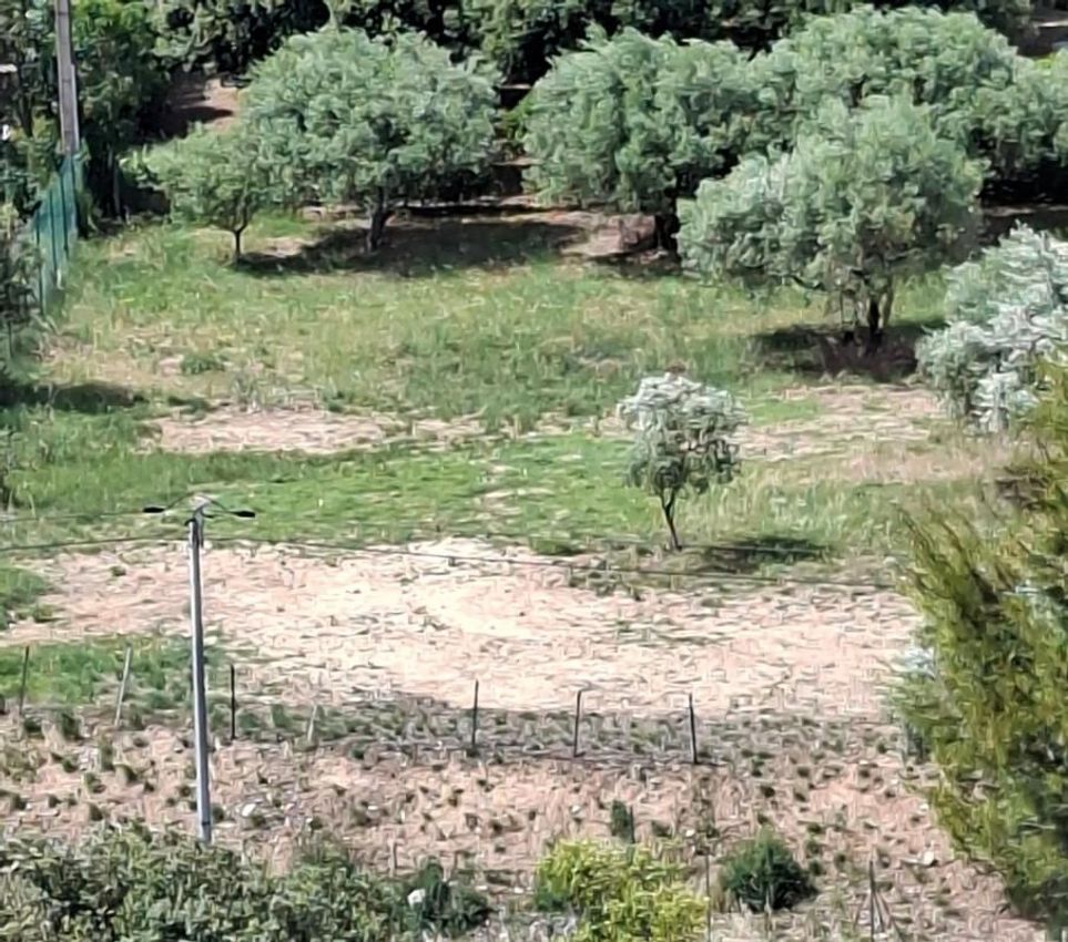 Image de terrain à Caumont-sur-Durance