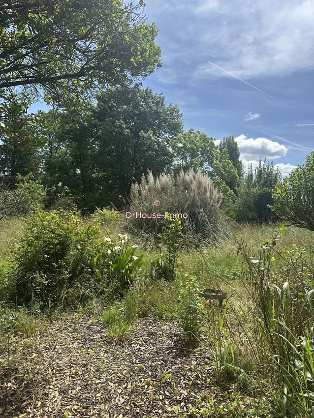 Image de terrain à Castelnau-de-Médoc