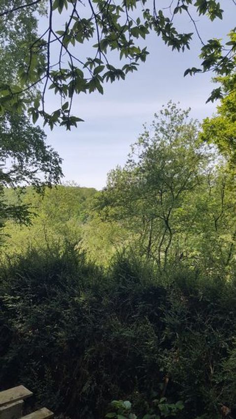 Image Jardin à  maison individuelle de Saint-Hilaire-du-Harcouët