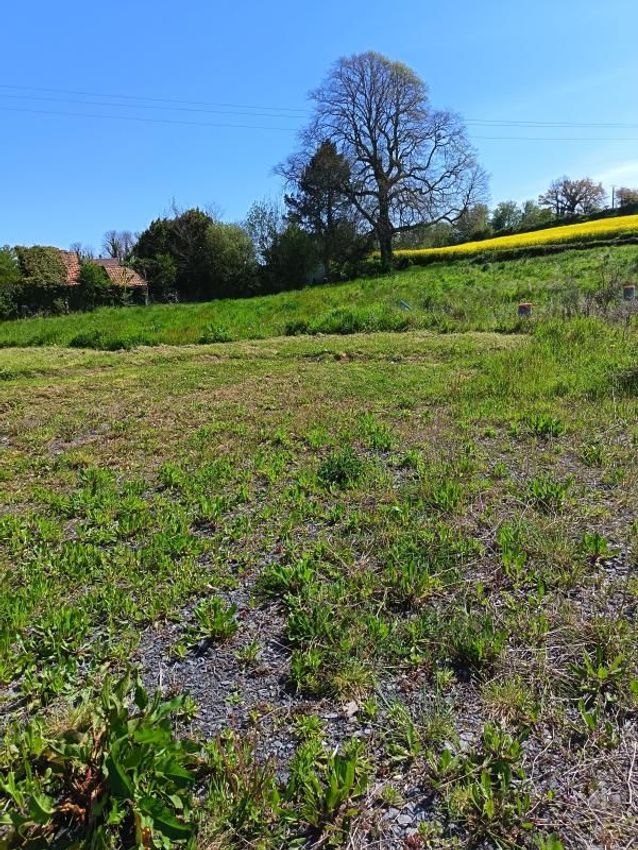 Image de terrain à Touffreville-sur-Eu