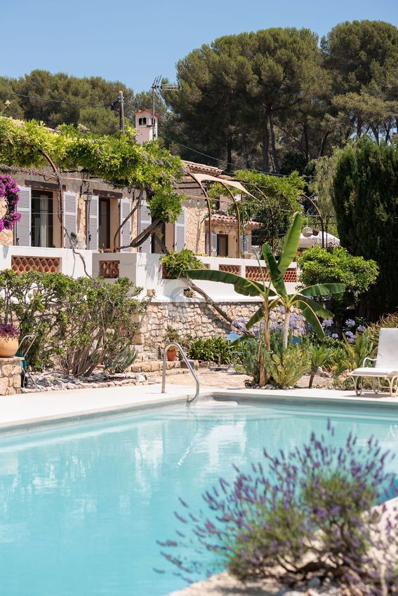 Image Piscine à  propriété agricole de Antibes
