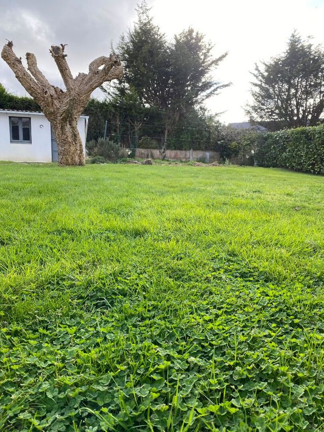Image de terrain à Séné