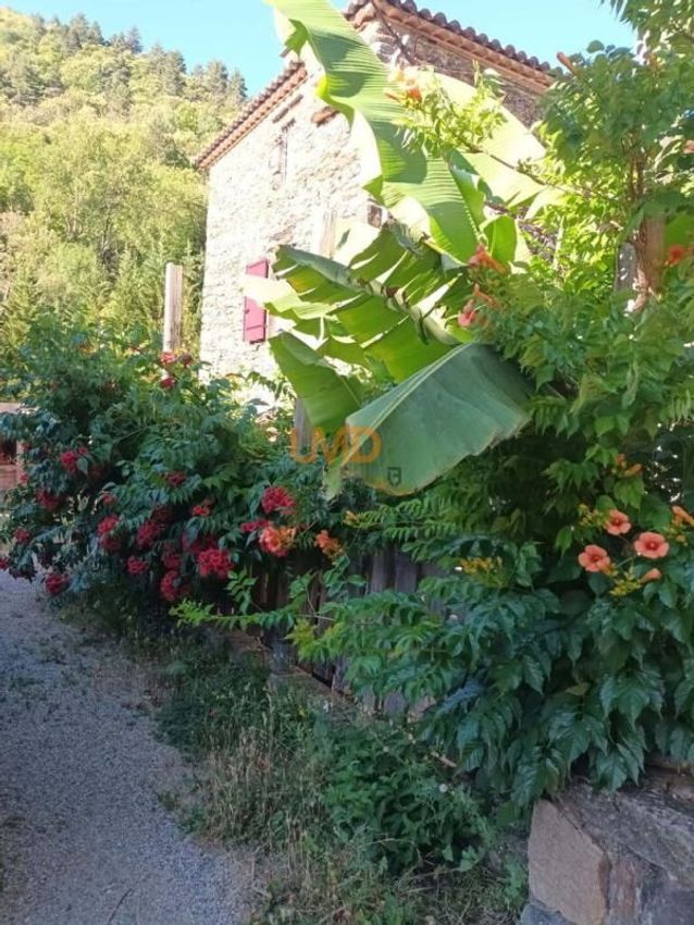 Image Jardin à  maison individuelle de Saint-André-de-Valborgne