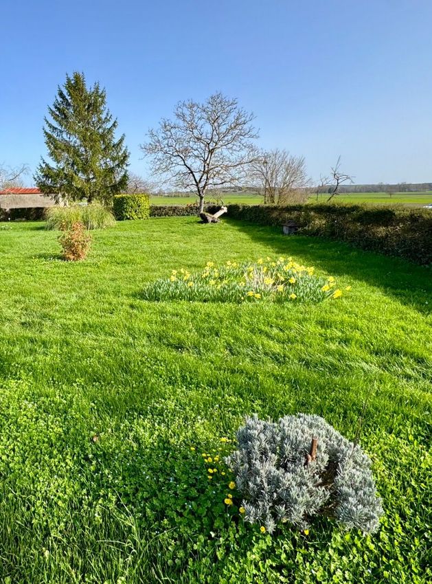 Image de terrain à Saint-Seurin-de-Palenne