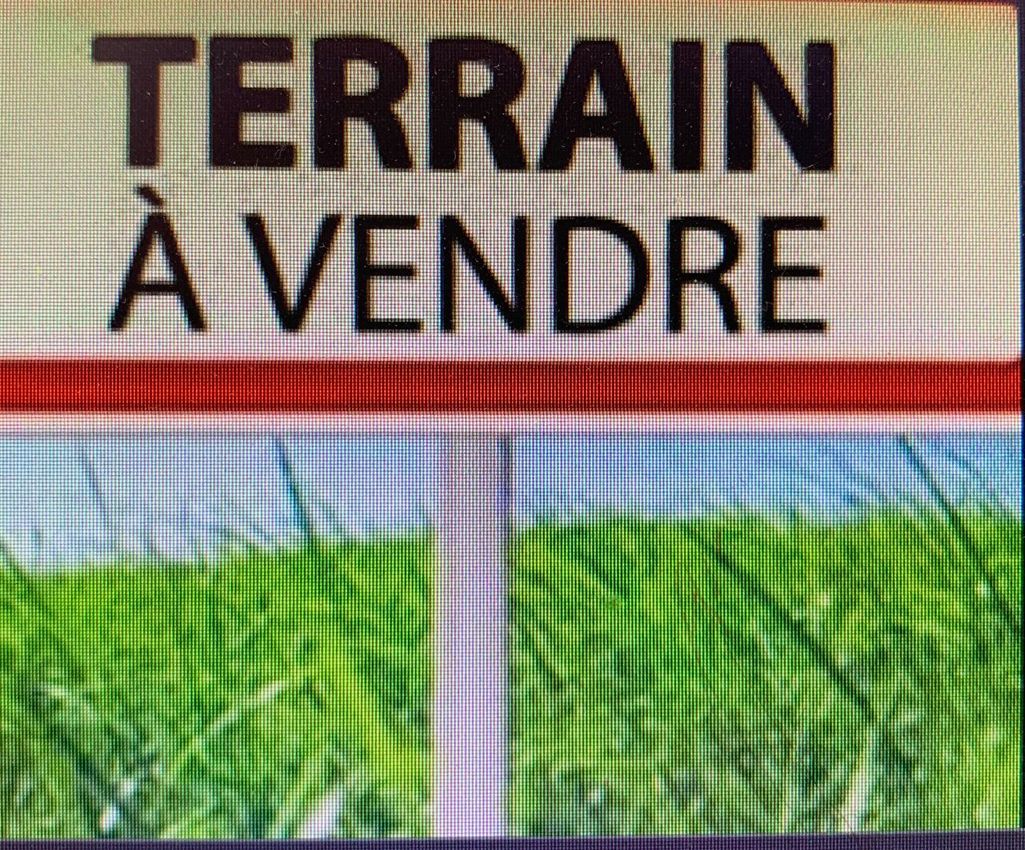 Image de terrain à Montreuil