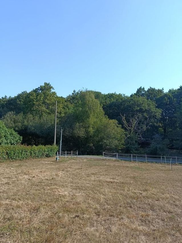 Image de terrain à Buros