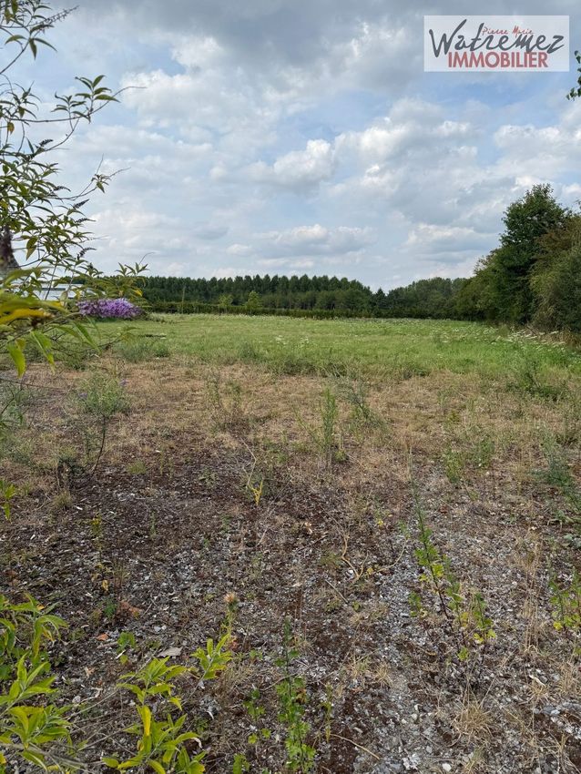 Image de terrain à Preux-au-Bois