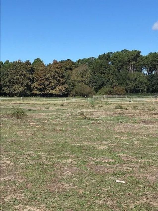 Image de terrain à Bénesse-Maremne
