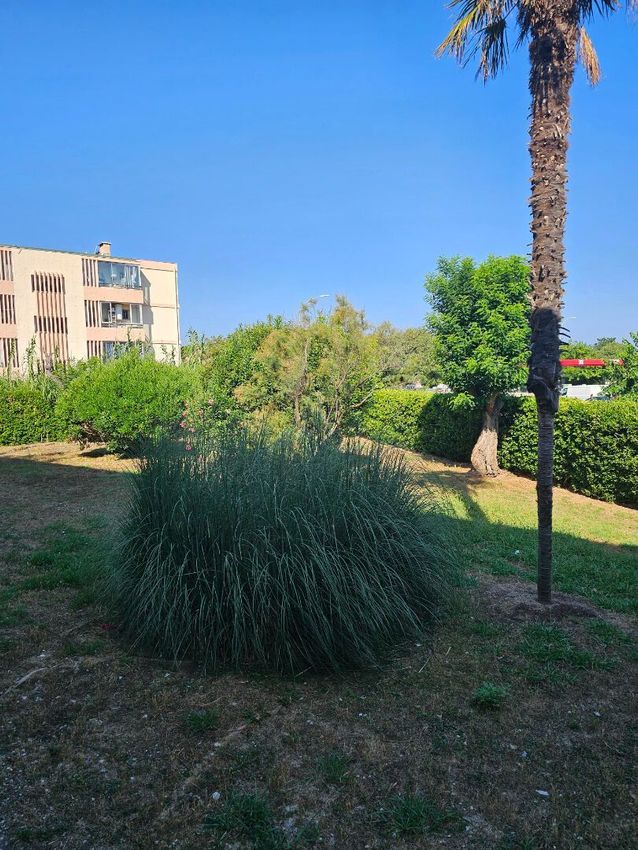 Image Jardin à appartement de Six-Fours-les-Plages
