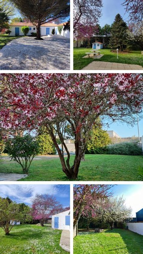 Image Jardin à  maison individuelle de Aytré