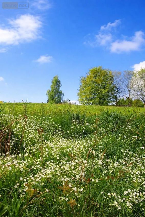 Image de terrain à Camors