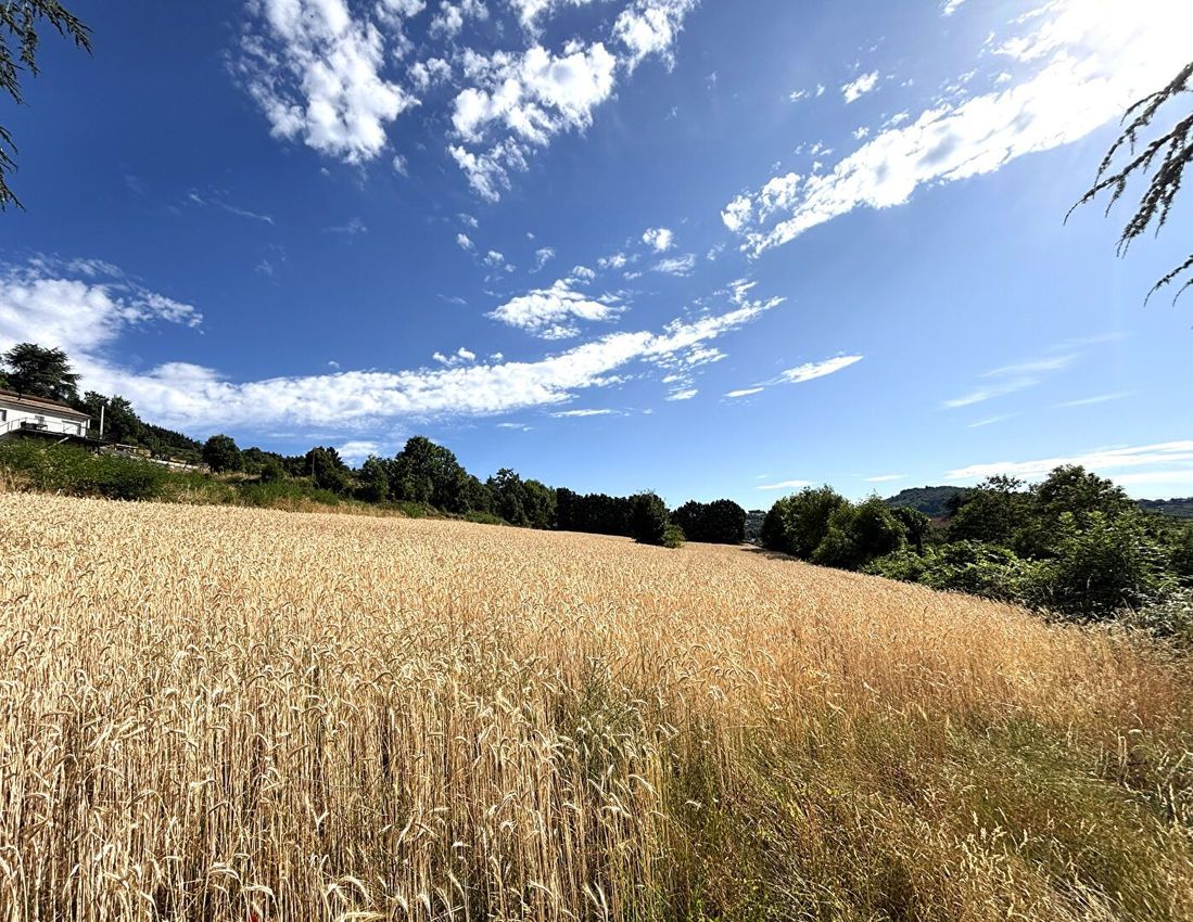 Image Vue à terrain de Bourg-Argental