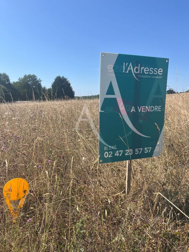 Image de terrain à La Croix-en-Touraine