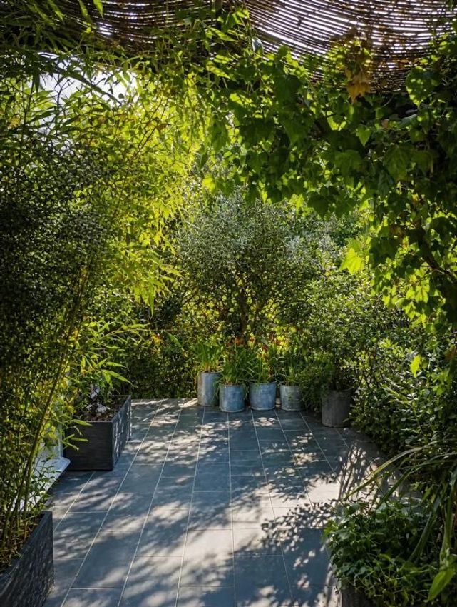 Image Jardin à  maison individuelle de Aumelas