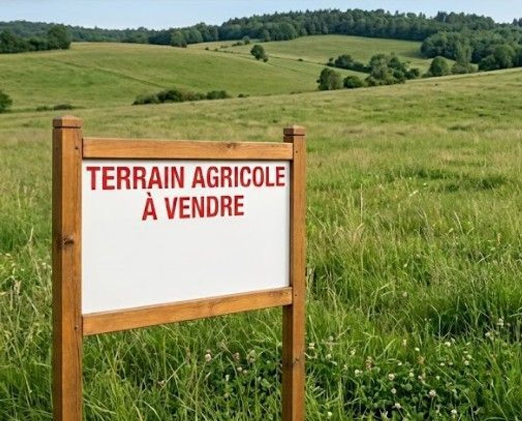 Image de terrain à Moisdon-la-Rivière
