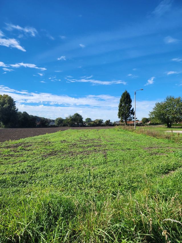 Image de terrain à Liercourt