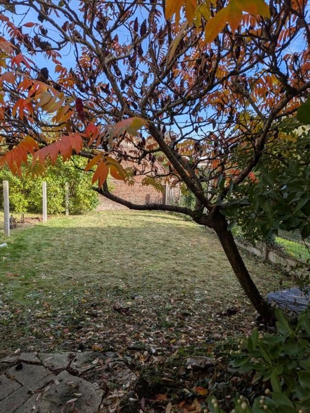 Image Jardin à  maison individuelle de Aubigny-au-Bac