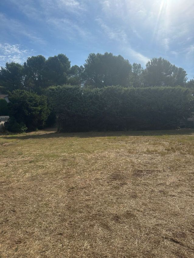 Image de terrain à Fontvieille