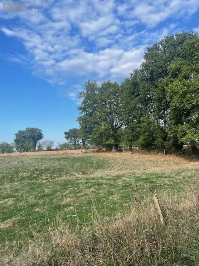 Image de terrain à Saint-Baudelle