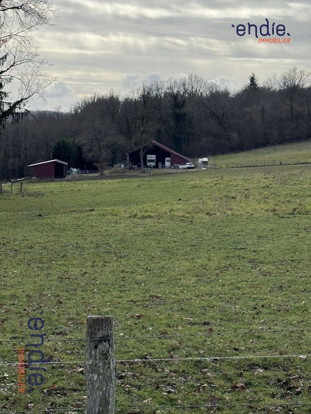 Image de terrain à Chaillac-sur-Vienne