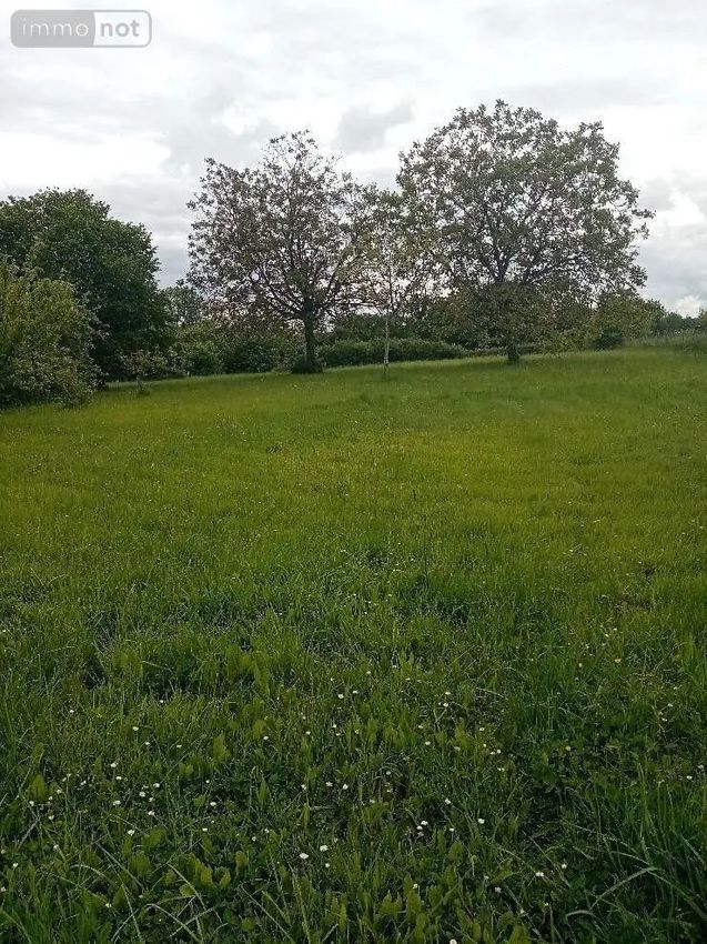 Image de terrain à Pellevoisin