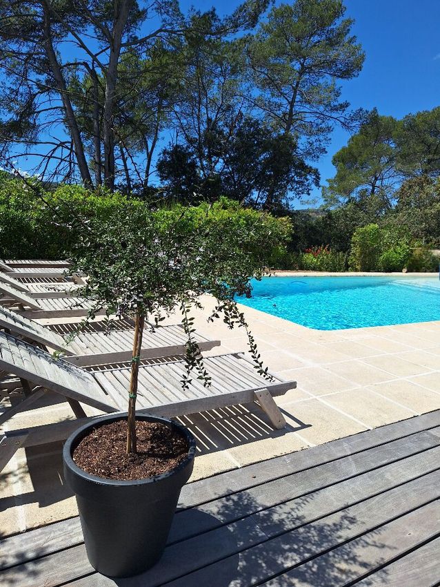 Image Piscine à  villa de Le Thoronet