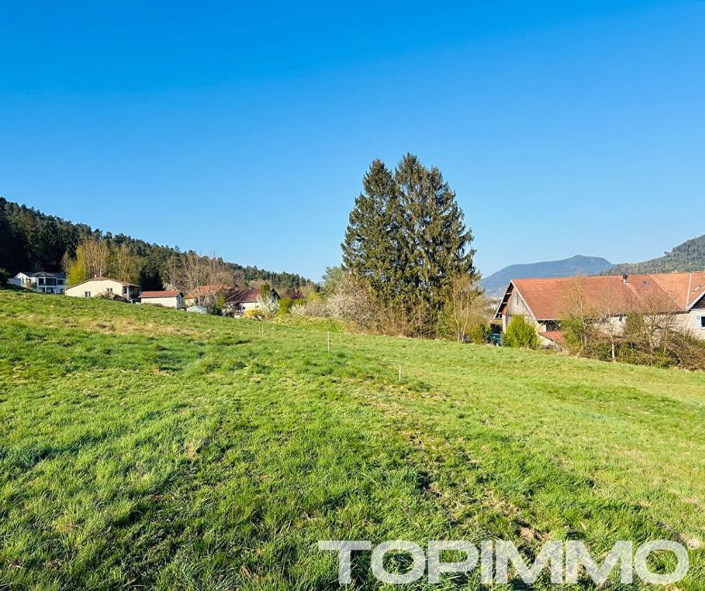 Image de terrain à Saint-Dié-des-Vosges