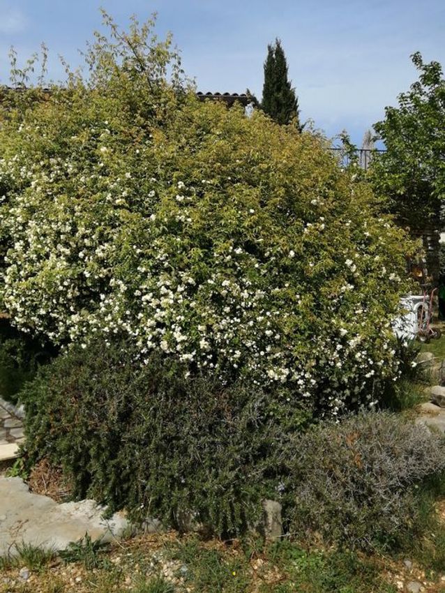 Image Jardin à  maison individuelle de Les Vans