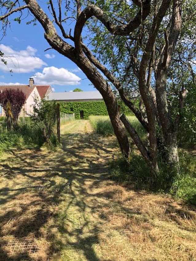 Image de terrain à Chevannes