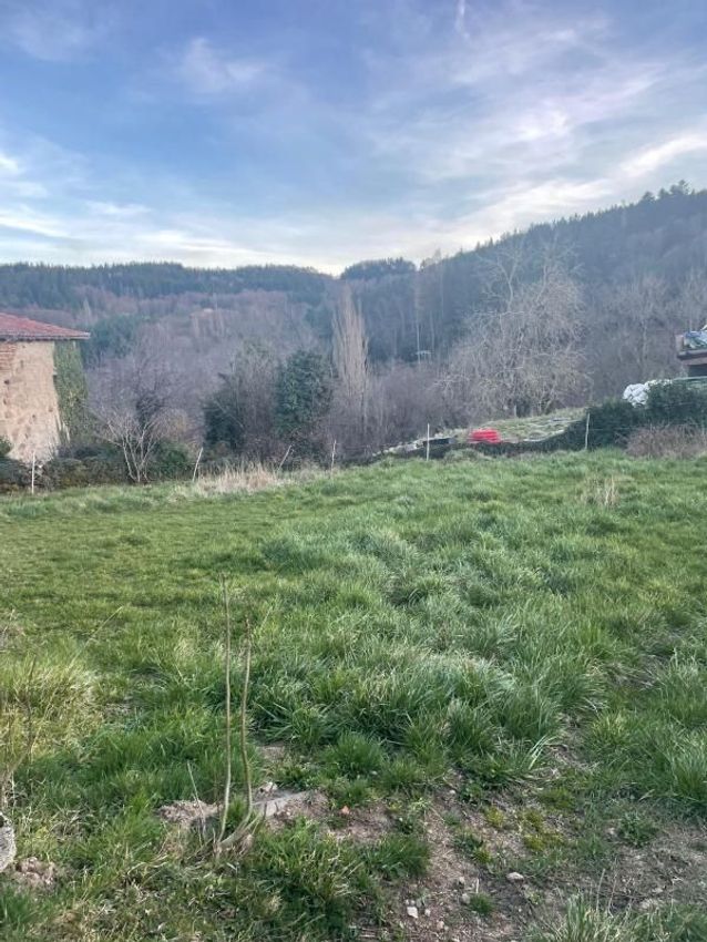 Image de terrain à Saint-Jean-Soleymieux