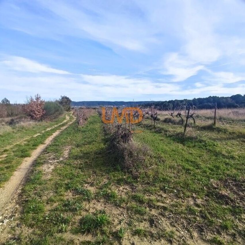 Image de terrain à Aigremont