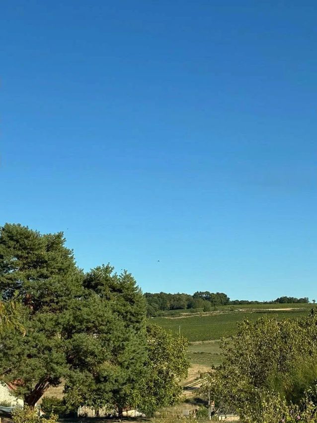 Image Vue à terrain de Cravant-les-Côteaux
