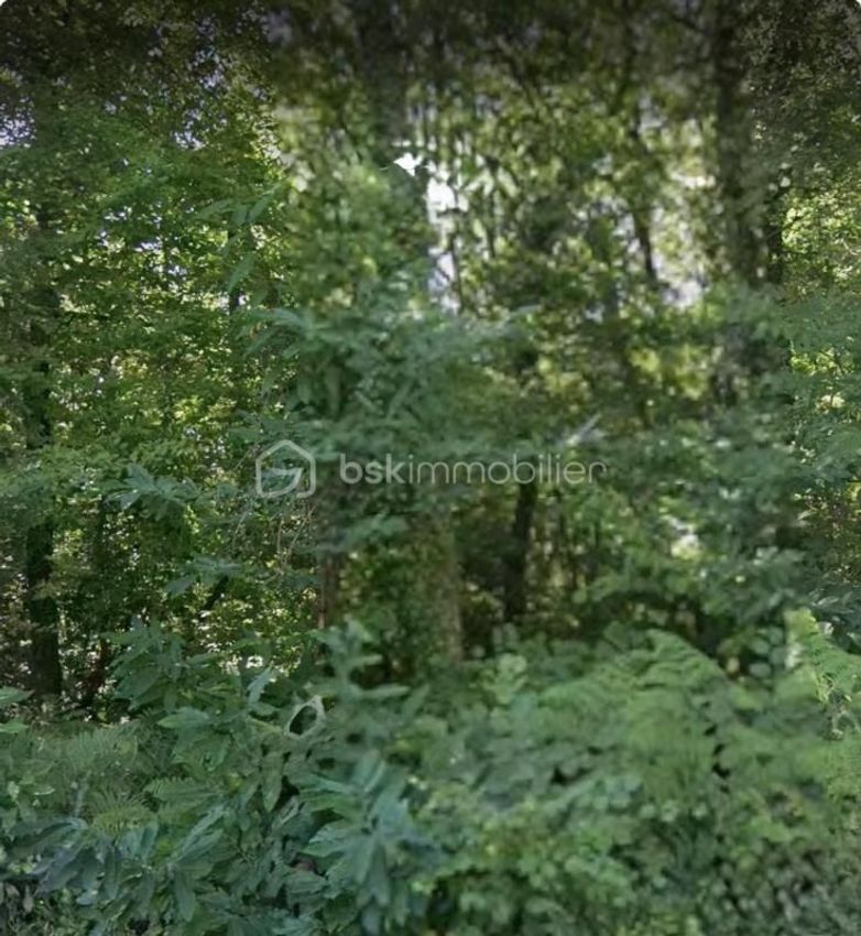 Image de terrain à Coulounieix-Chamiers