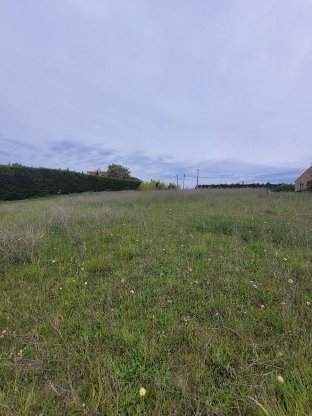 Image de terrain à Lacroix-Falgarde
