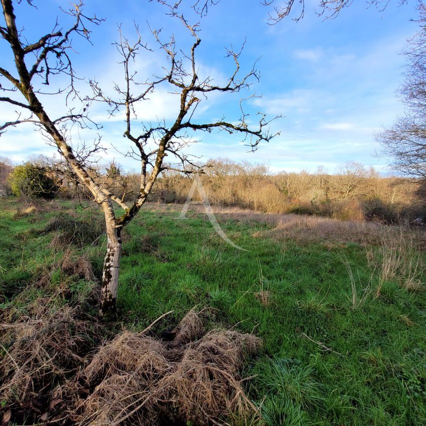 Image de terrain à Le Champ-Saint-Père