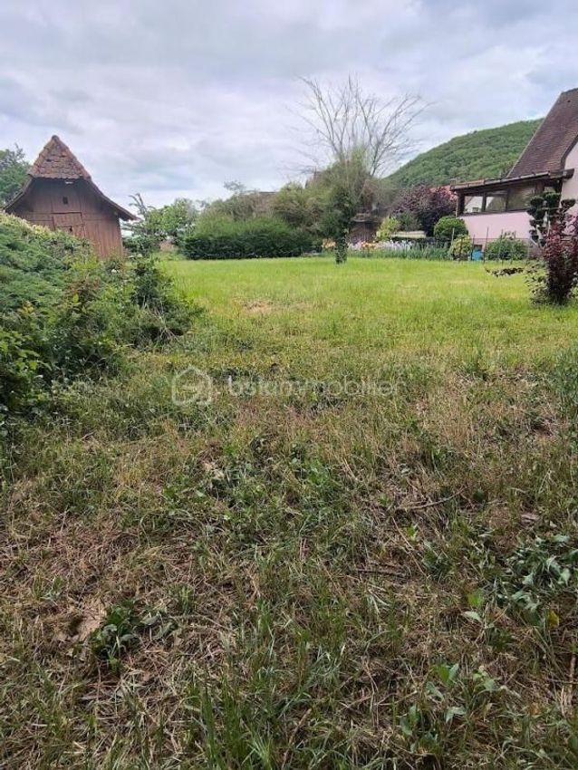 Image de terrain à Kaysersberg Vignoble