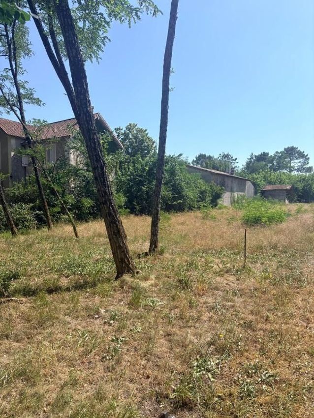 Image de terrain à Landiras