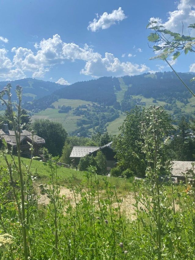 Image Vue à terrain de Megève